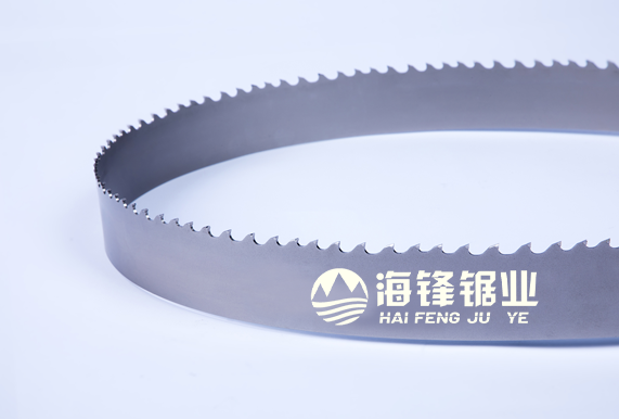 温州TCB-Cast 发动机缸盖及浇冒口专用型